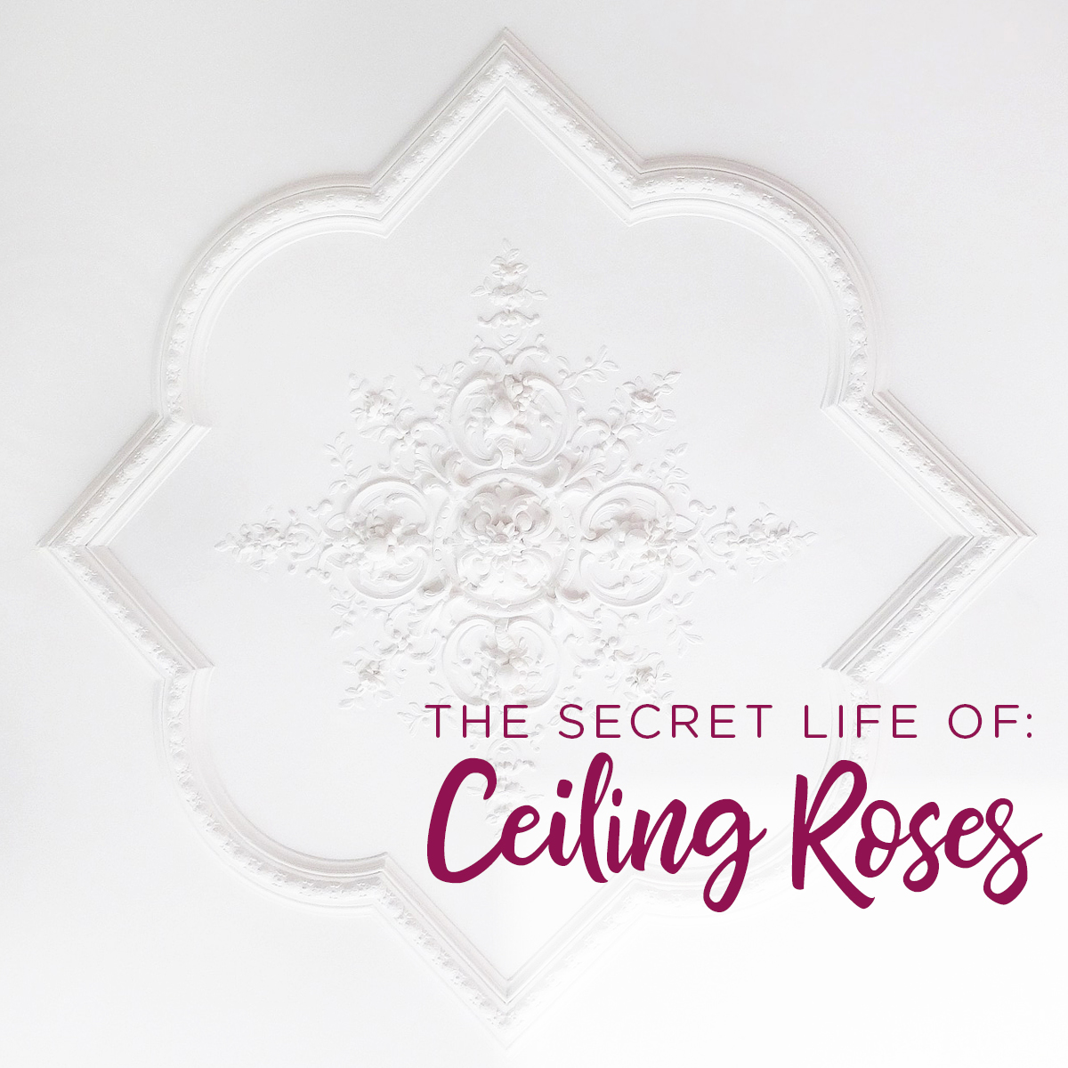 Secret Life of Ceiling Roses